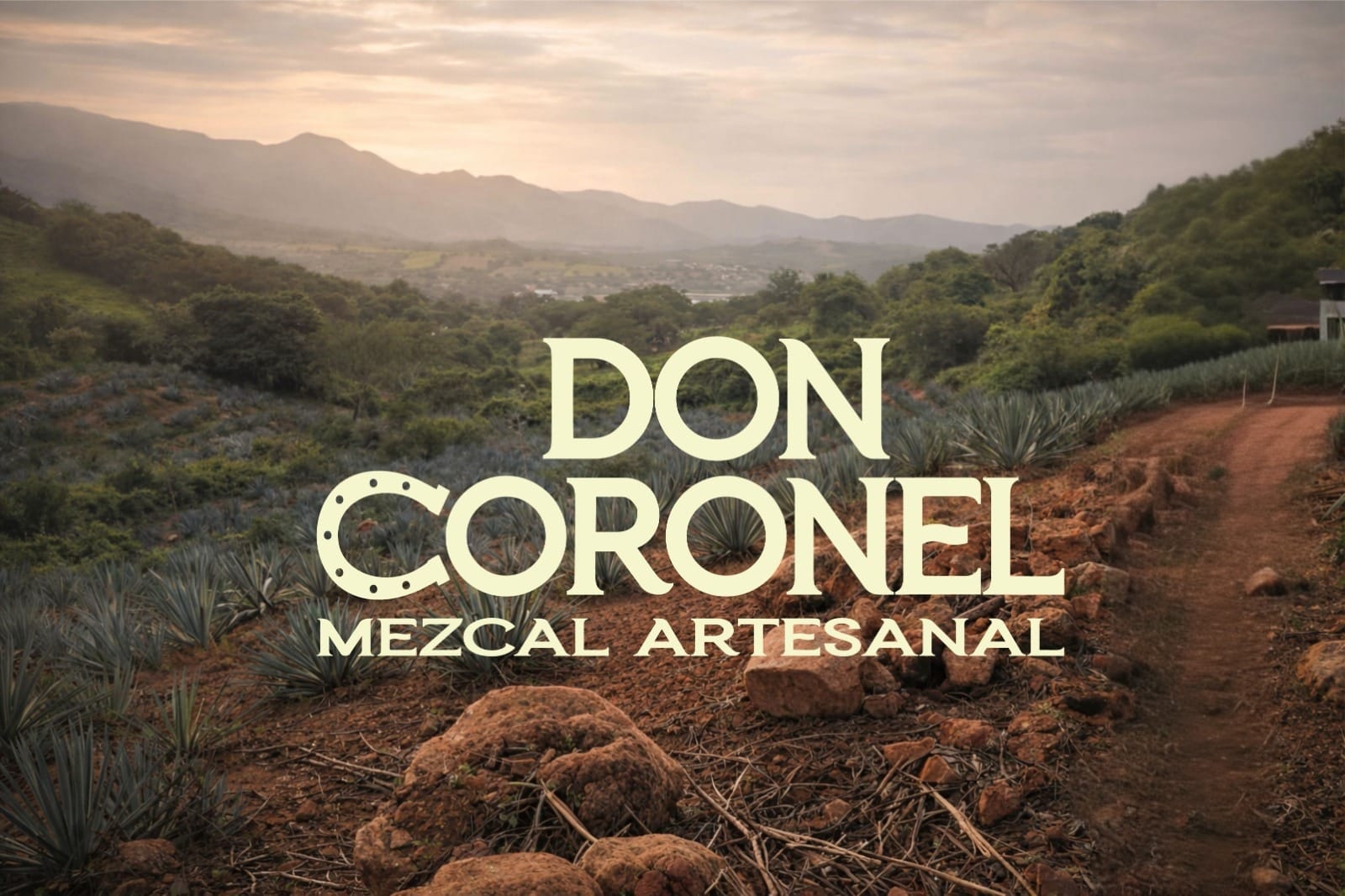 Botella de mezcal Don Coronel